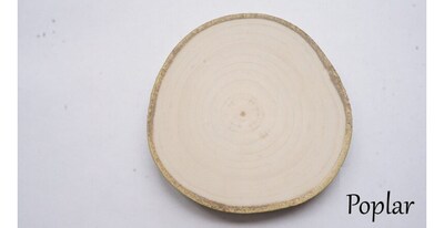 Cut to order 10 poplar wood slices, tree slice blanks, tree slabs, wood cookies, log discs - image1